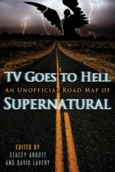 Image of TV Goes to Hell by David Lavery Book