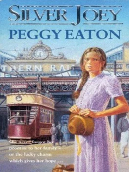 Image of Silver Joey by Peggy Eaton Paperback