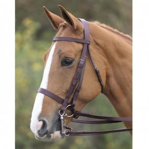 Image of Shires Aviemore Double Bridle - Havana