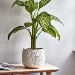 Image of Ivyline Arles Leaf Embossed White Planter - H17Cm W18Cm