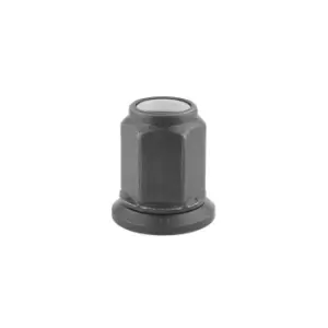 Image of Wheel Nut 07301 by Febi Bilstein