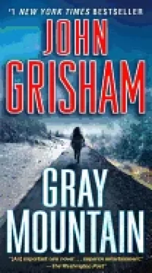Image of gray mountain a novel