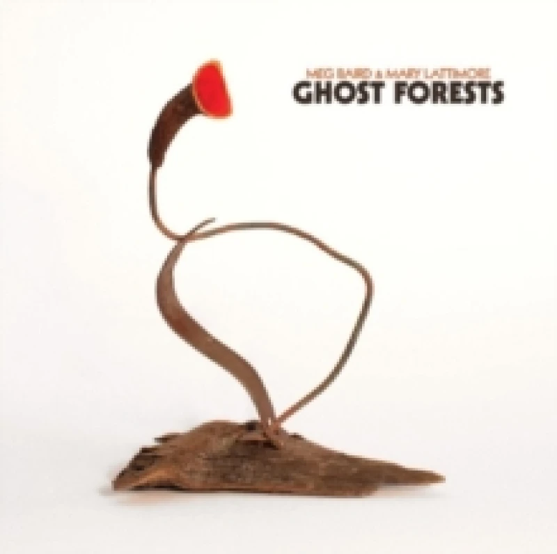 Image of Ghost Forests Vinyl
