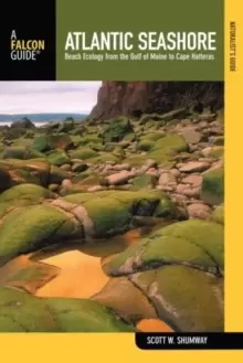 Image of Naturalist's Guide to the Atlantic Seashore : Beach Ecology From The Gulf Of Maine To Cape Hatteras