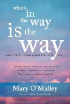 Image of Whats in the way is the way by Mary O'Malley