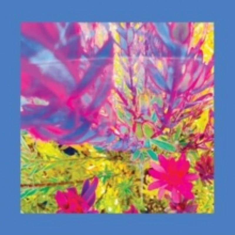 Image of The Past Is a Garden I Never Fed CD / Album