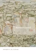 Image of remaindered life