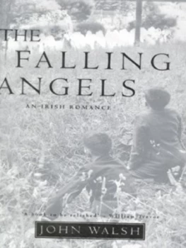 Image of The Falling Angels by John Walsh Hardback