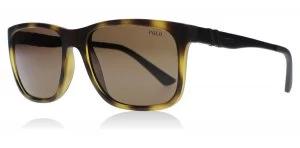 image of Polo Ralph Lauren PH4088 Sunglasses Tortoise 5182/73 55mm