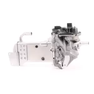 Image of VALEO EGR Module 700436 AUDI,SEAT,A4 Avant (8K5, B8),A6 Avant (4G5, 4GD, C7),Q5 (8RB),A4 Limousine (8K2, B8),A5 Sportback (8TA),A5 Coupe (8T3)