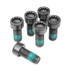 Image of TOPRAN Flywheel Bolt 110 260 VW,AUDI,SKODA,Golf IV Schragheck (1J1),Golf V Schragheck (1K1),POLO (9N_),TOURAN (1T1, 1T2),Passat Variant (3C5)