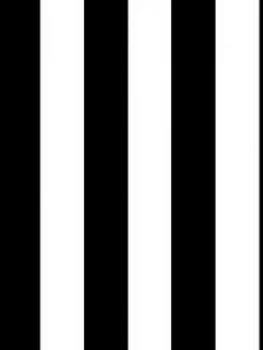 Image of Superfresco Easy Monochrome Stripe Wallpaper