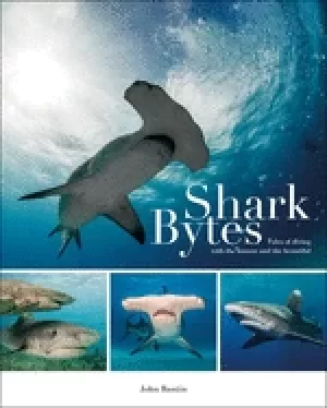 Image of shark bytes tales of diving with the bizarre and the beautiful