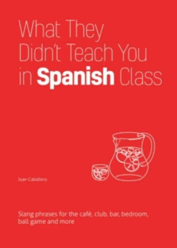 Image of What They Didn't Teach You In Spanish Class : Slang Phrases for the Cafe, Club, Bar, Bedroom, Ball Game and More Paperback / softback