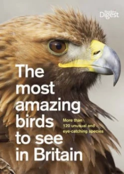 Image of The Most Amazing Birds to See in Britain by Readers Digest Paperback