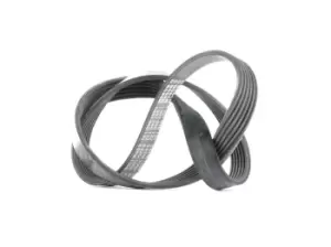 Image of Bosch V-ribbed belt FORD,VOLVO 1 987 946 132 1322009,1354254,1354256 Serpentine belt,Auxiliary belt,Poly V-belt,Ribbed belt,Multi V-belt,Poly belt