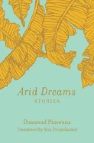 Image of arid dreams stories