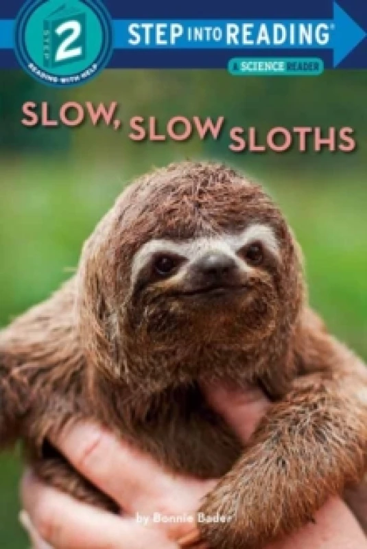 Image of Bonnie Bader Slow, Slow Sloths Book Multi unisex