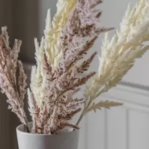 Image of Crossland Grove Pampas Grass (3Pk) Ivory 1160Mm