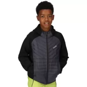 Image of Regatta Boys Kielder Hybrid VI Water Repellent Padded Coat 5-6 Years - Chest 59-61cm (Height 110-116cm)