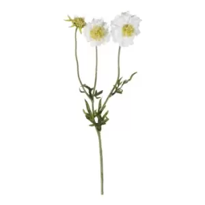 image of Gallery Interiors Set of 6 Mari Scabiosa Spray White