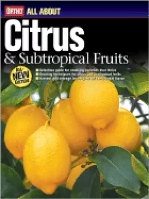 Image of citrus and subtropical fruits