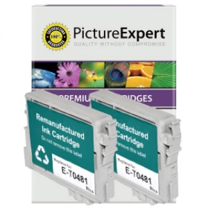 image of Picture Expert Epson Seahorse T0481 Black Ink Cartridge