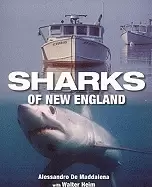 Image of sharks of new england