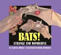 Image of bats strange and wonderful