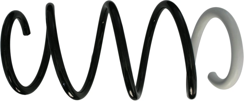 Image of Coil spring SACHS 993 835