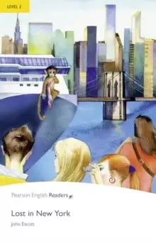 Image of Level 2: Lost In New York