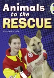 Image of Bug Club Guided Non Fiction Year 2 Gold B Animals to the Rescue