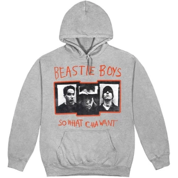 image of The Beastie Boys - So What Cha Want Unisex Large Hoodie - Grey