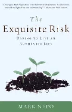 Image of exquisite risk daring to live an authentic life