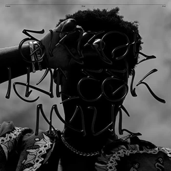 Image of Halleek Maul - Errol Vinyl