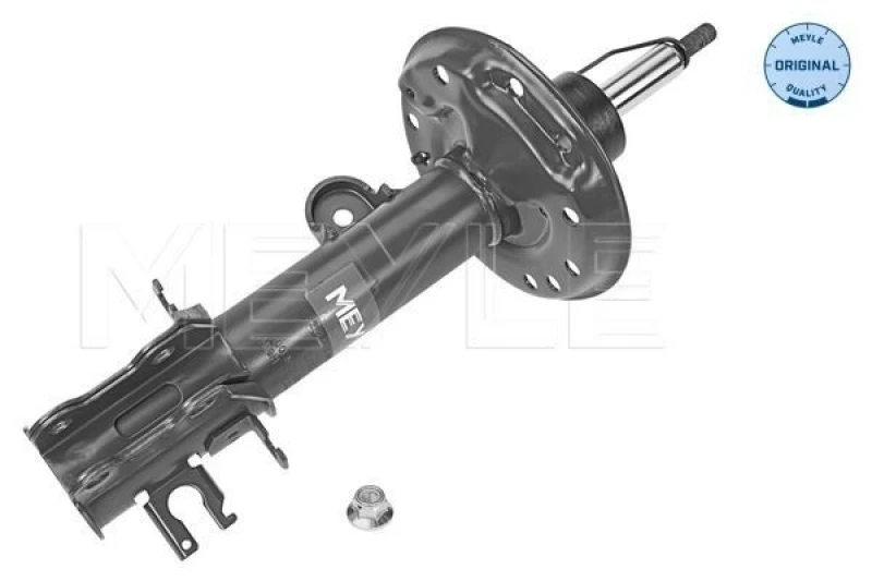 Image of Shock absorber MEYLE 226 623 0022