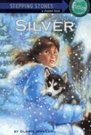 Image of silver a stepping stone book