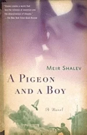 Image of pigeon and a boy a novel