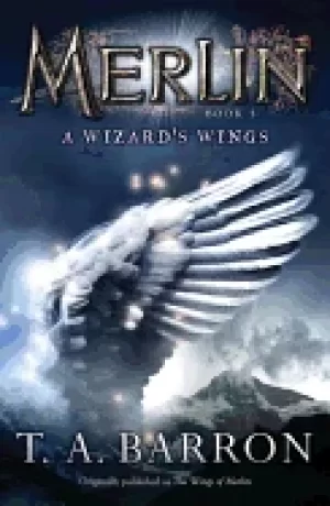 Image of wizards wings