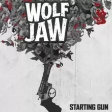 Image of Starting Gun
