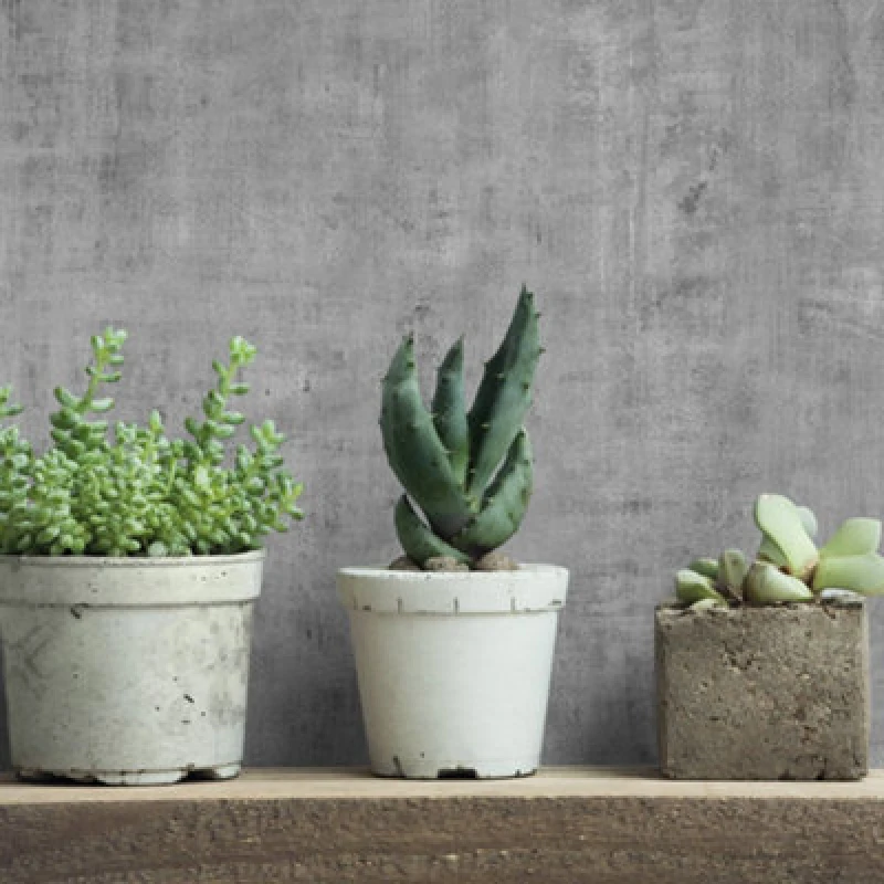 Image of Galerie Industrial Effects Greyglass Stone Concrete Texture Wallpaper Roll