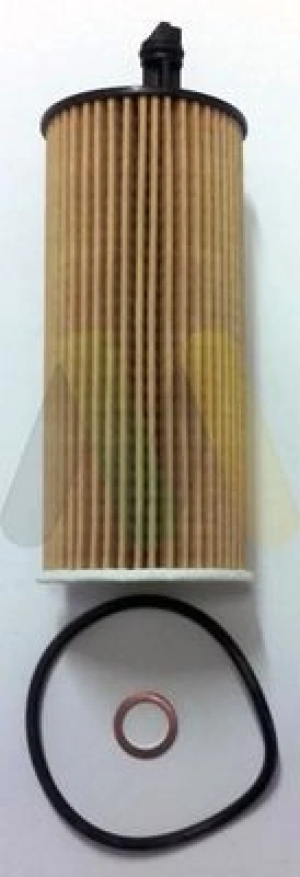 Image of MOTAQUIP Oil filter MOTAQUIP LVFL765