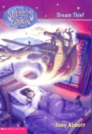 Image of secrets of droon 17 dream thief