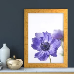 Image of AC1680333021 Multicolor Decorative Framed MDF Painting