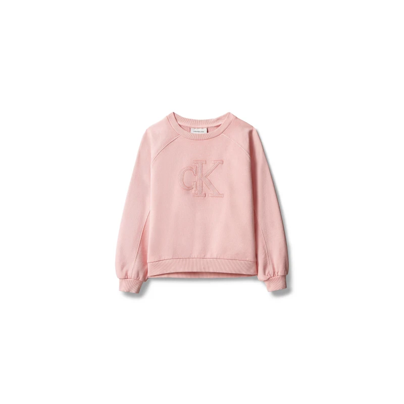 Image of Calvin Klein Jeans CKJ Logo Sweatshirt Jn62 Quartz Pink TFL female 10Y