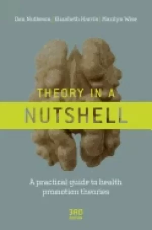 Image of theory in a nutshell