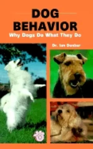Image of dog behavior why digs do what they do