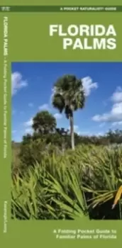 Image of Florida Palms : A Folding Pocket Guide to Familiar Palms of Florida