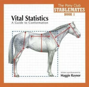 Image of Vital Statistics by Maggie Raynor and Pony Club Paperback