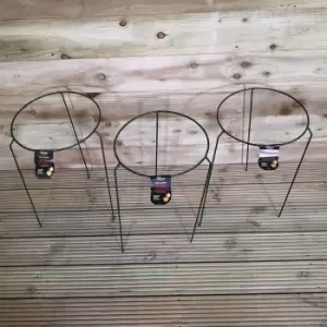 Image of Pack of 3 Tom Chambers Urban Metal Herbaceous Garden Plant Support Ring Medium 30cm x 50cm